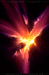 phoenix nebula